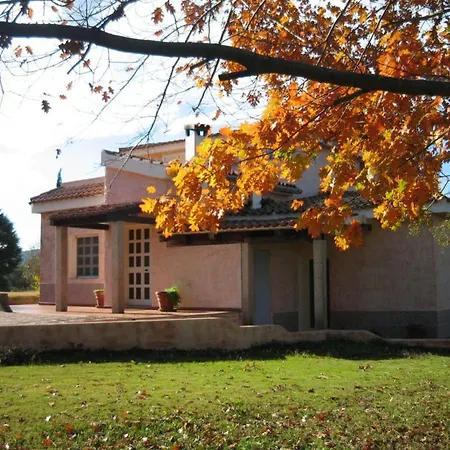 Li Cuponi